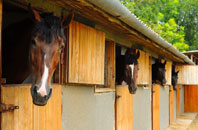 free Merry Hill stable construction quotes